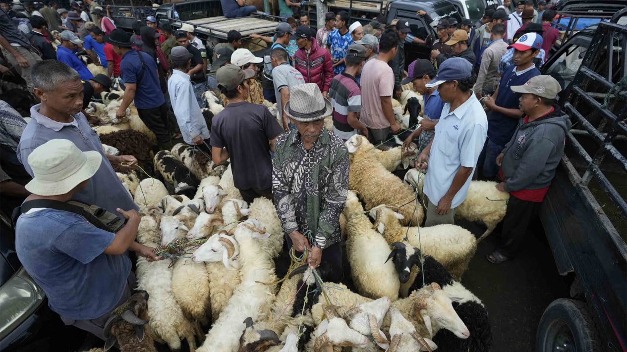 Jual Beli Hewan Kurban Jelang Hari Raya Idul Adha 2024