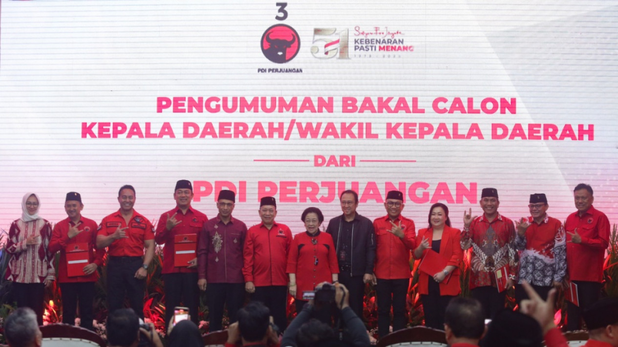 Senyum Airin Rachmi Diany Usai Diusung PDI di Pilkada Banten