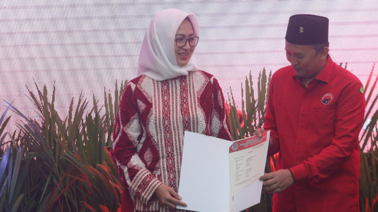 Senyum Airin Rachmi Diany Usai Diusung PDI di Pilkada Banten