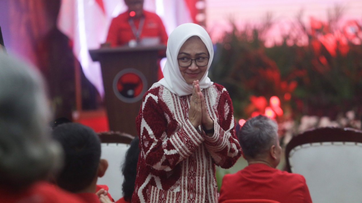 Senyum Airin Rachmi Diany Usai Diusung PDI di Pilkada Banten