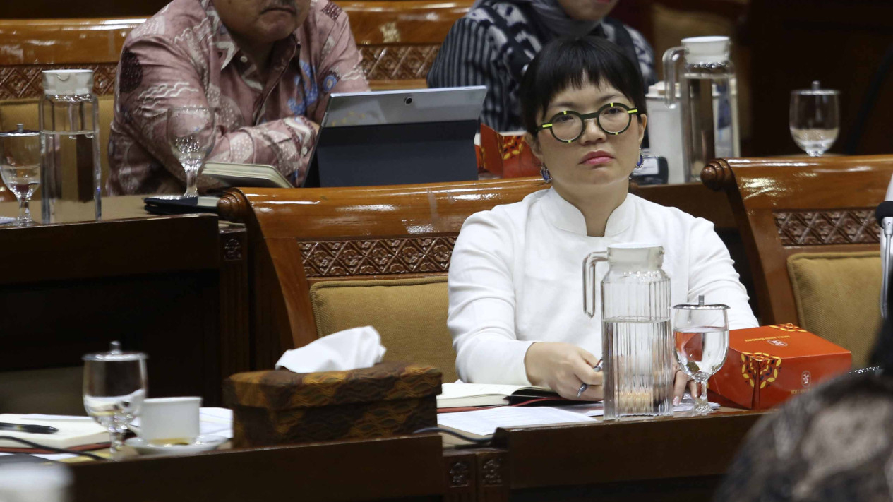 Wamendiktisaintek Stella Christie Rapat Perdana di DPR