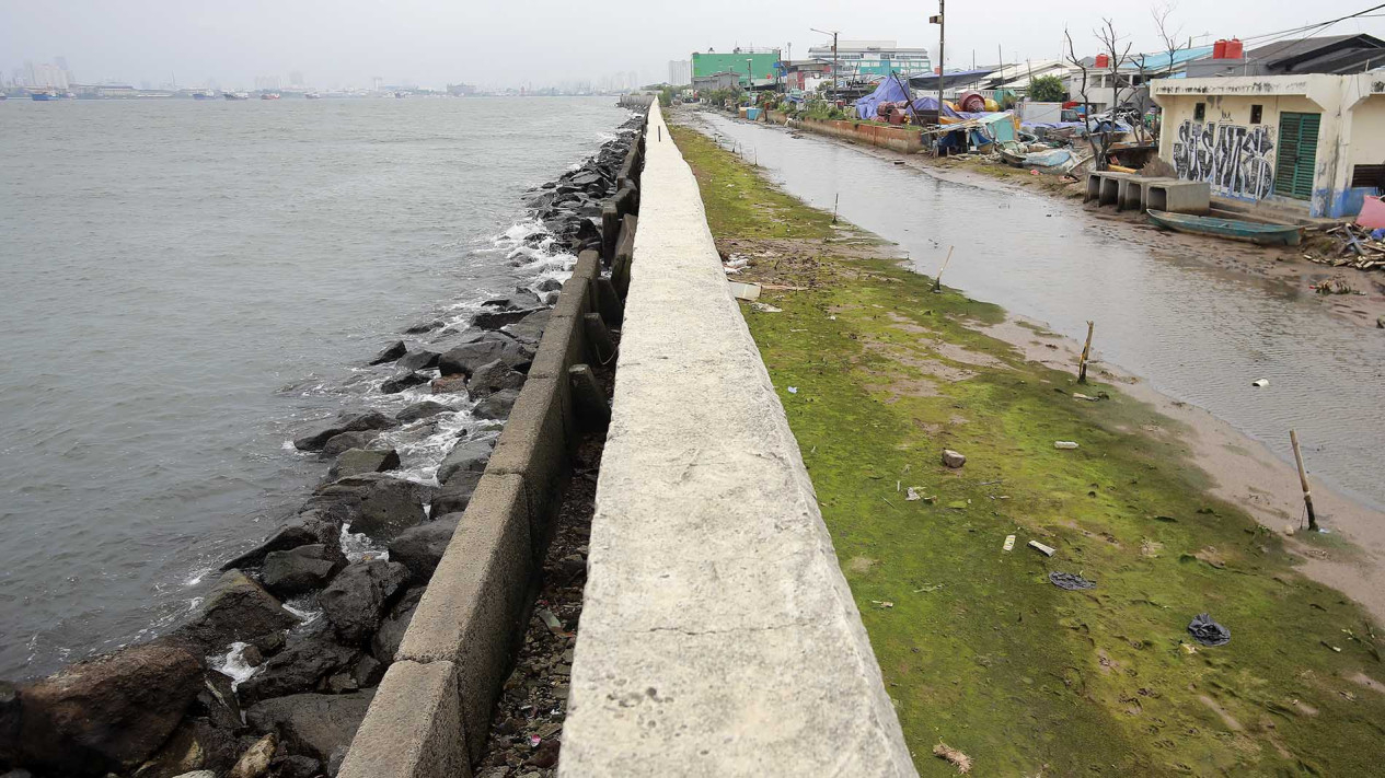 Rencana Pembangunan Tanggul Laut Cegah Kenaikan Air Laut