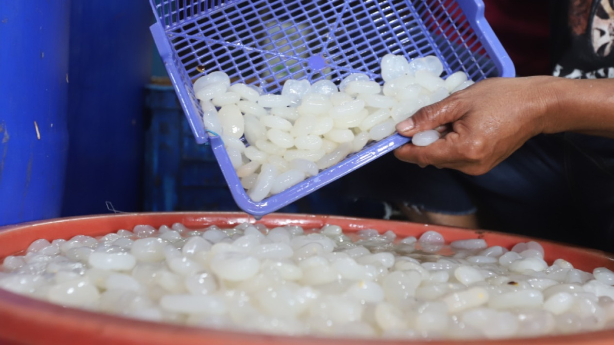 Bulan Ramadan, Penjualan Kolang Kaling Meningkat