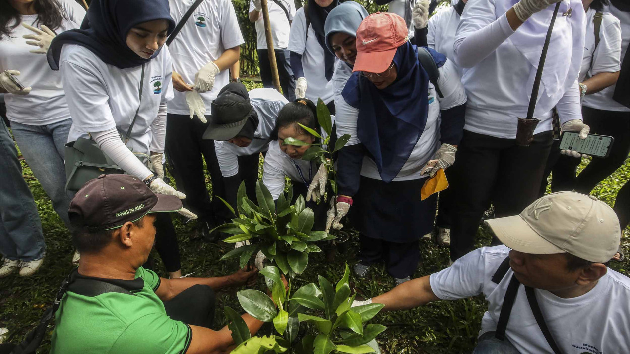 Penanaman Mangrove untuk Kurangi Emisi & Langit Kemabli Biru