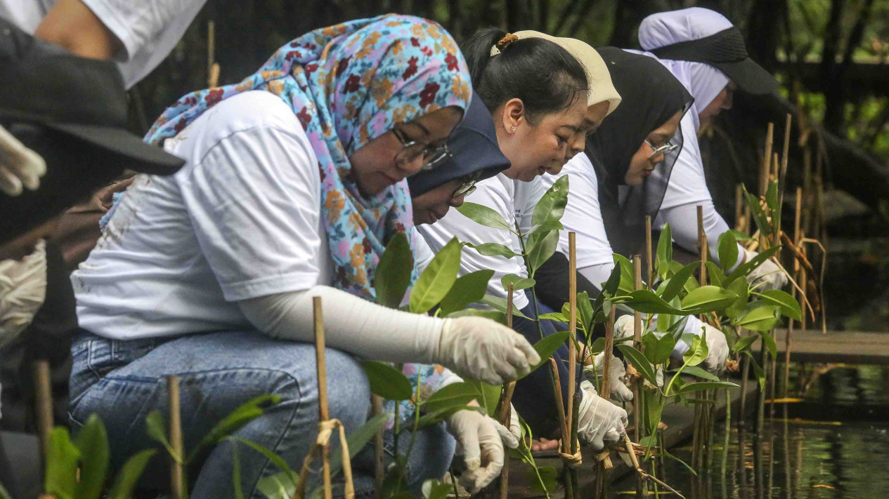 Penanaman Mangrove untuk Kurangi Emisi & Langit Kemabli Biru