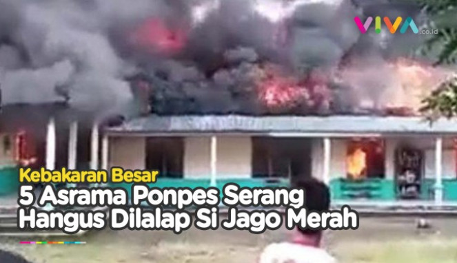 article