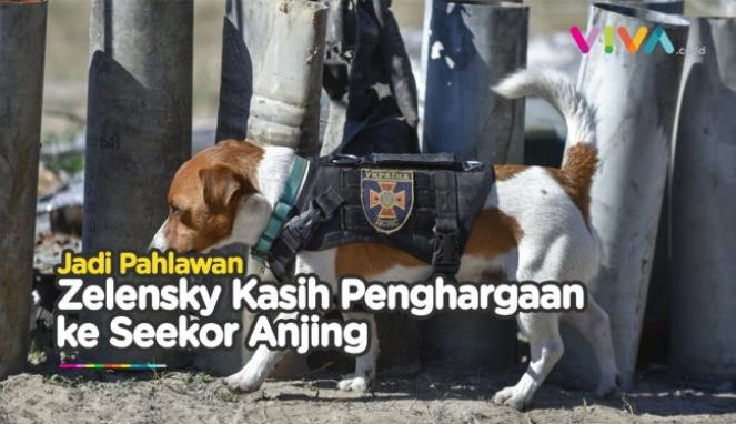 article