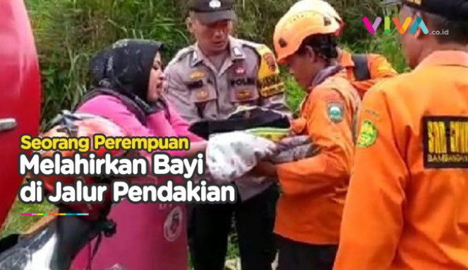 article