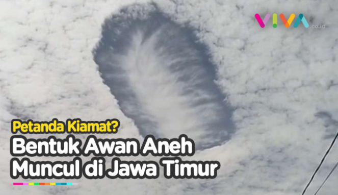 article