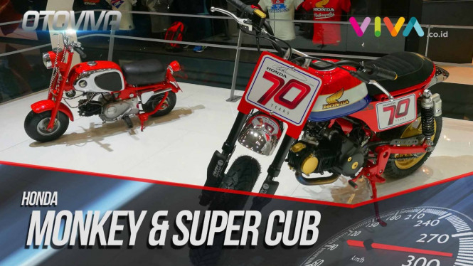 Duh! Honda Monkey & Super Cub Emang Bikin Ngiler