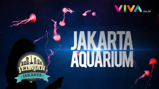 VIDEO: Wow! Dihipnotis Jakarta Aquarium!!
