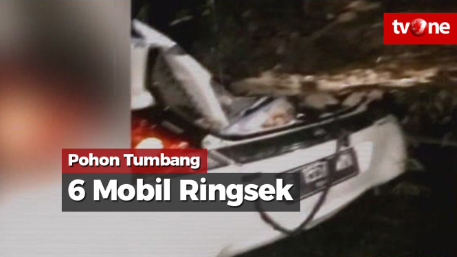 Pohon Tumbang, Enam Mobil Ringsek dan 2 Pengemudi Terluka