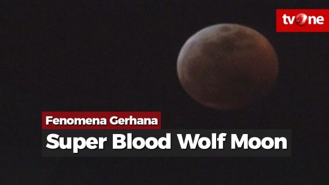 Fenomena Super Blood Wolf Moon