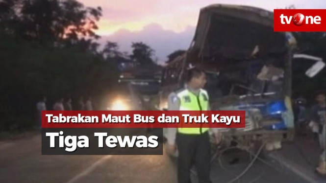 Tabrakan Maut Bus dan Truk Kayu, Tiga Tewas dan 13 Terluka