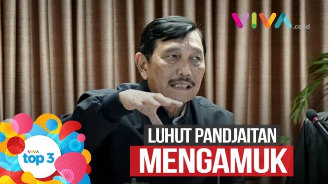 VIVA Top3: Luhut Ngamuk, Gempa Malang & Teriakkan Prabowo