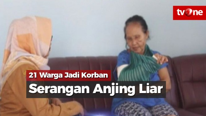 21 Warga Jadi Korban Serangan Anjing Liar di Sumbawa