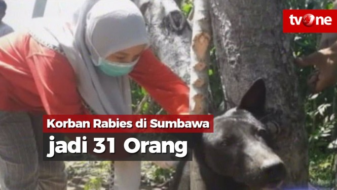 Korban Anjing Rabies di Sumbawa Bertambah jadi 31 Orang