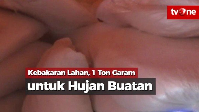 Kebakaran Lahan, Satu Ton Garam Diangkut untuk Hujan Buatan