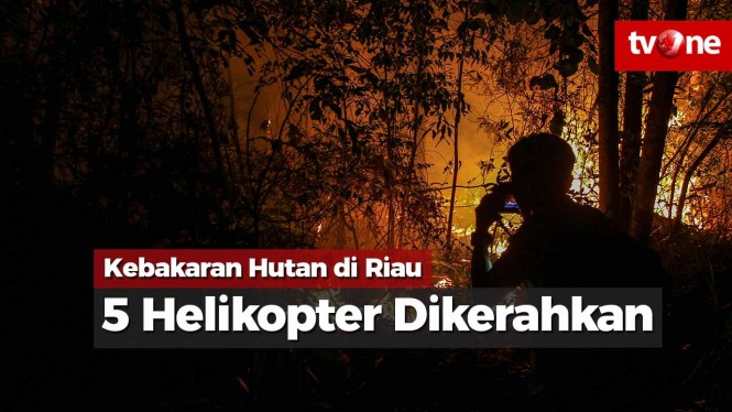 Lima Helikopter Dikerahkan untuk Padamkan Kebakaran di Riau