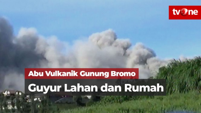 Abu Vulkanik Gunung Bromo Guyur Lahan dan Rumah Warga