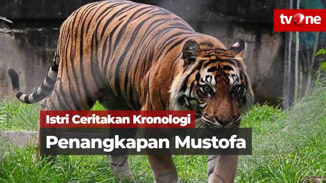 Istri Mustofa Ceritakan Kronologi Penangkapan Suaminya