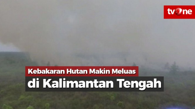Kebakaran Hutan Makin Meluas di Kalimantan Tengah