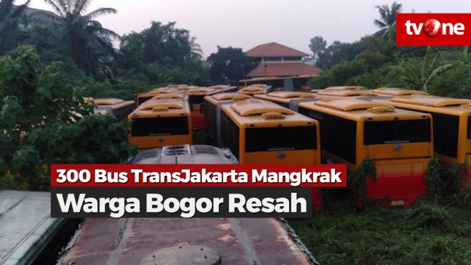 300 Bus TransJakarta Mangkrak, Warga Bogor Resah