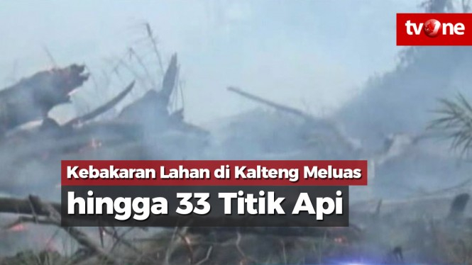 Kebakaran Lahan di Kalteng Meluas hingga 33 Titik Api