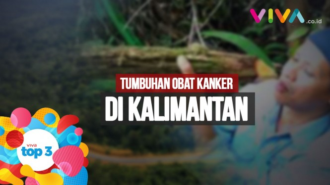Obat Kanker Kalimantan, Enzo Masuk Akmil & Konser Lany