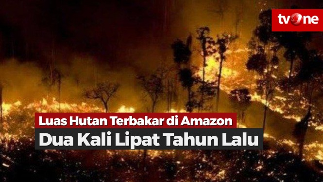 Kebakaran Hutan Amazon Dua Kali Lipat Tahun Lalu