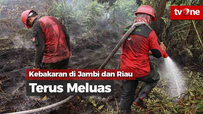 Kebakaran di Jambi dan Riau Terus Meluas, Pelaku Tertangkap