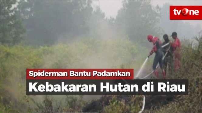 Spiderman Bantu Padamkan Kebakaran Hutan di Riau