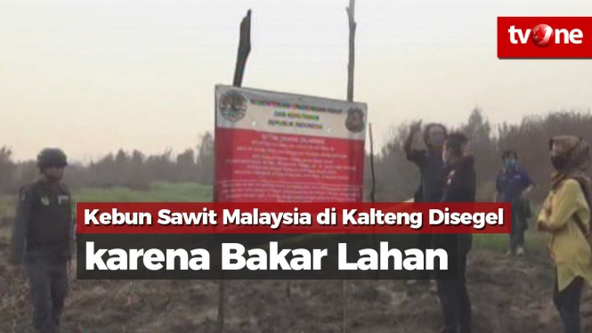Kebun Sawit Malaysia di Kalteng Disegel karena Bakar Lahan