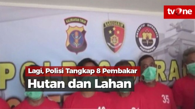 Lagi, Polisi Tangkap Delapan Pembakar Hutan dan Lahan