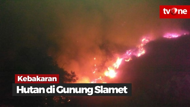 Kebakaran Hutan Gunung Slamet Meluas
