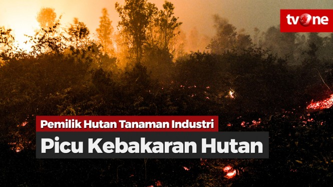Pemilik Hutan Tanaman Industri Picu Kebakaran Lahan?