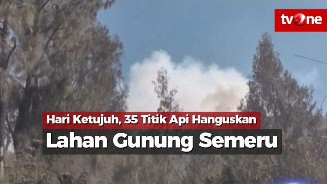 Hari ke-7, 35 Titik Api Hanguskan Lahan Gunung Semeru