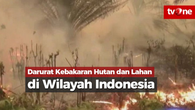 Darurat Kebakaran Hutan dan Lahan di Wilayah Indonesia