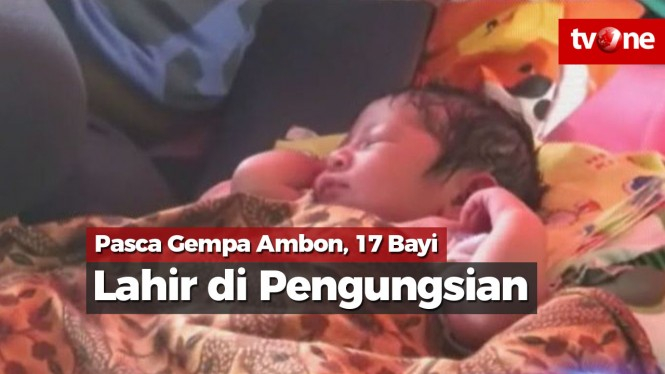 Pasca Gempa Ambon, 17 Bayi Lahir di Pengungsian