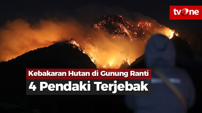 Kebakaran Hutan di Gunung Ranti, Empat Pendaki Terjebak