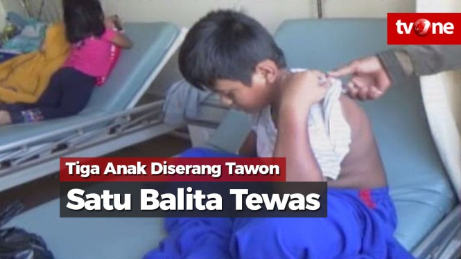 Tiga Anak Diserang Tawon, Satu Balita Tewas