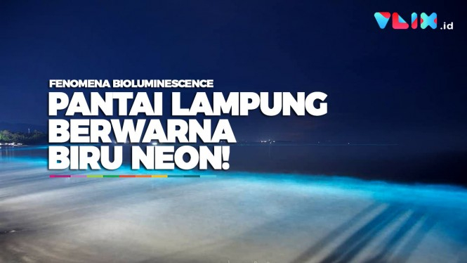 Seperti Film AVATAR, Pantai di Lampung Berwarna Biru Neon