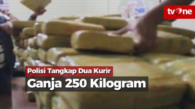 Polisi Tangkap Dua Kurir Ganja 250 Kilogram