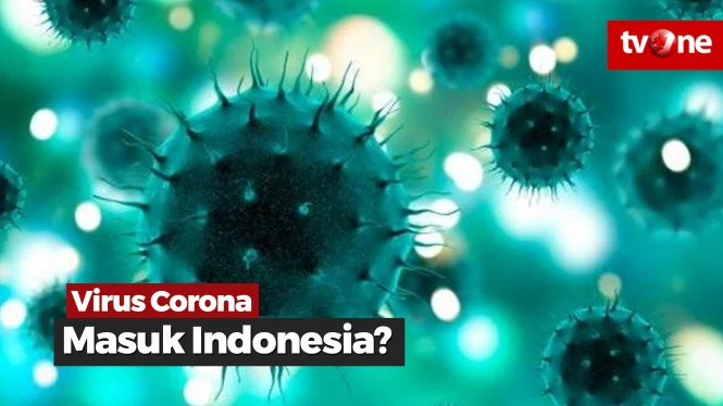 Pemerintah Bantah Ada Kasus Virus Corona di Indonesia