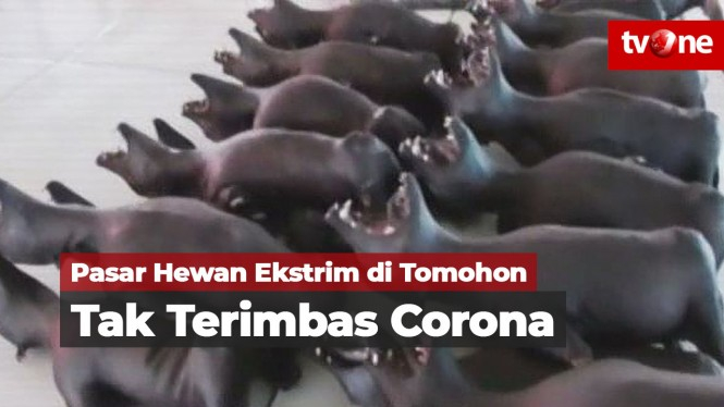 Pasar Hewan Ekstrim Tomohon Tak Terimbas Virus Corona