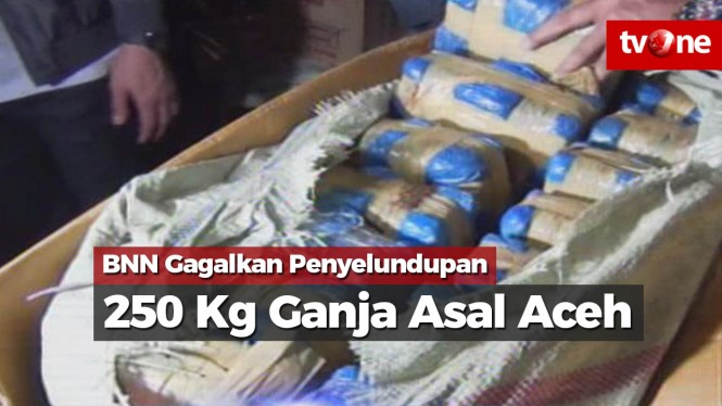 BNN Gagalkan Penyelundupan 250 Kg Ganja Asal Aceh