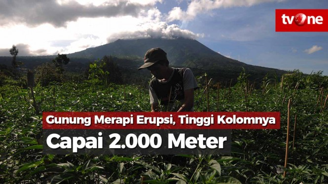 Gunung Merapi Erupsi, Tinggi Kolomnya Capai 2.000 Meter