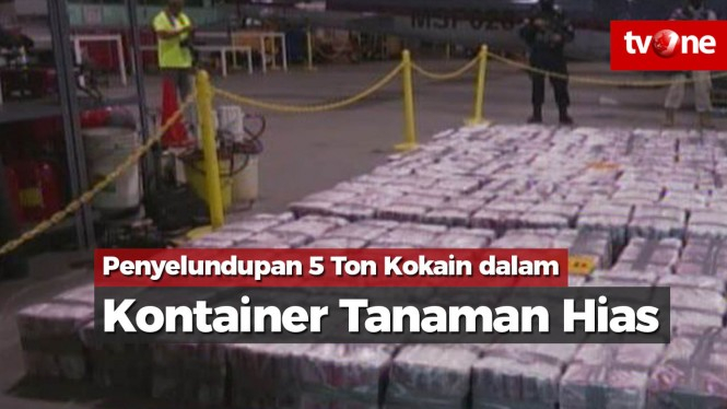 Penyelundupan 5 Ton Kokain dalam Kontainer Tanaman Hias