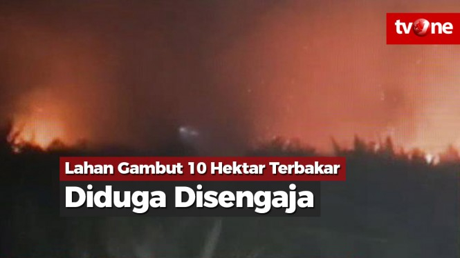 Lahan Gambut 10 Hektar Terbakar, Diduga Disengaja