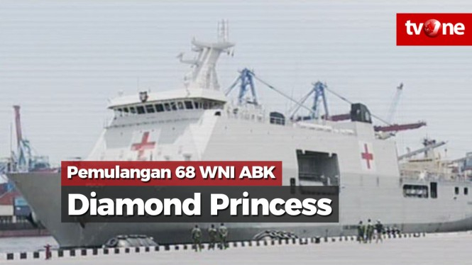 Dapat Sertifikat Sehat, 68 WNI ABK Diamond Princess Pulang